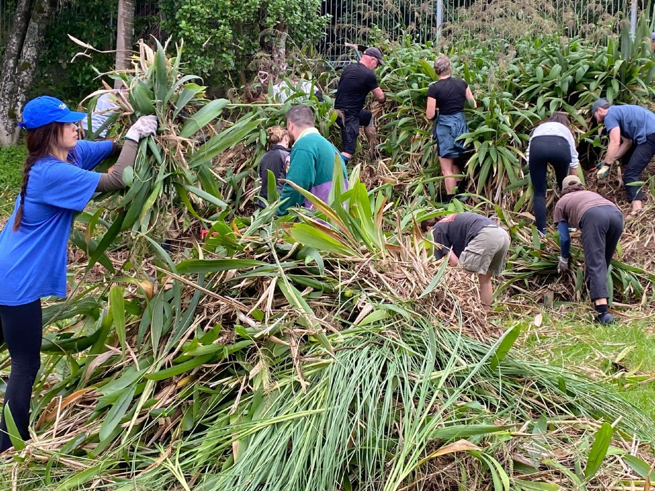 The First Planting at 181 Motutara Road