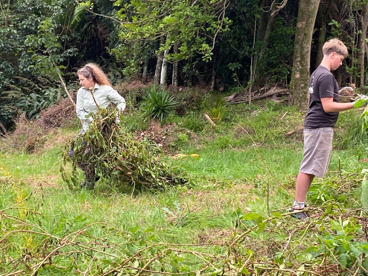 The First Planting at 181 Motutara Road