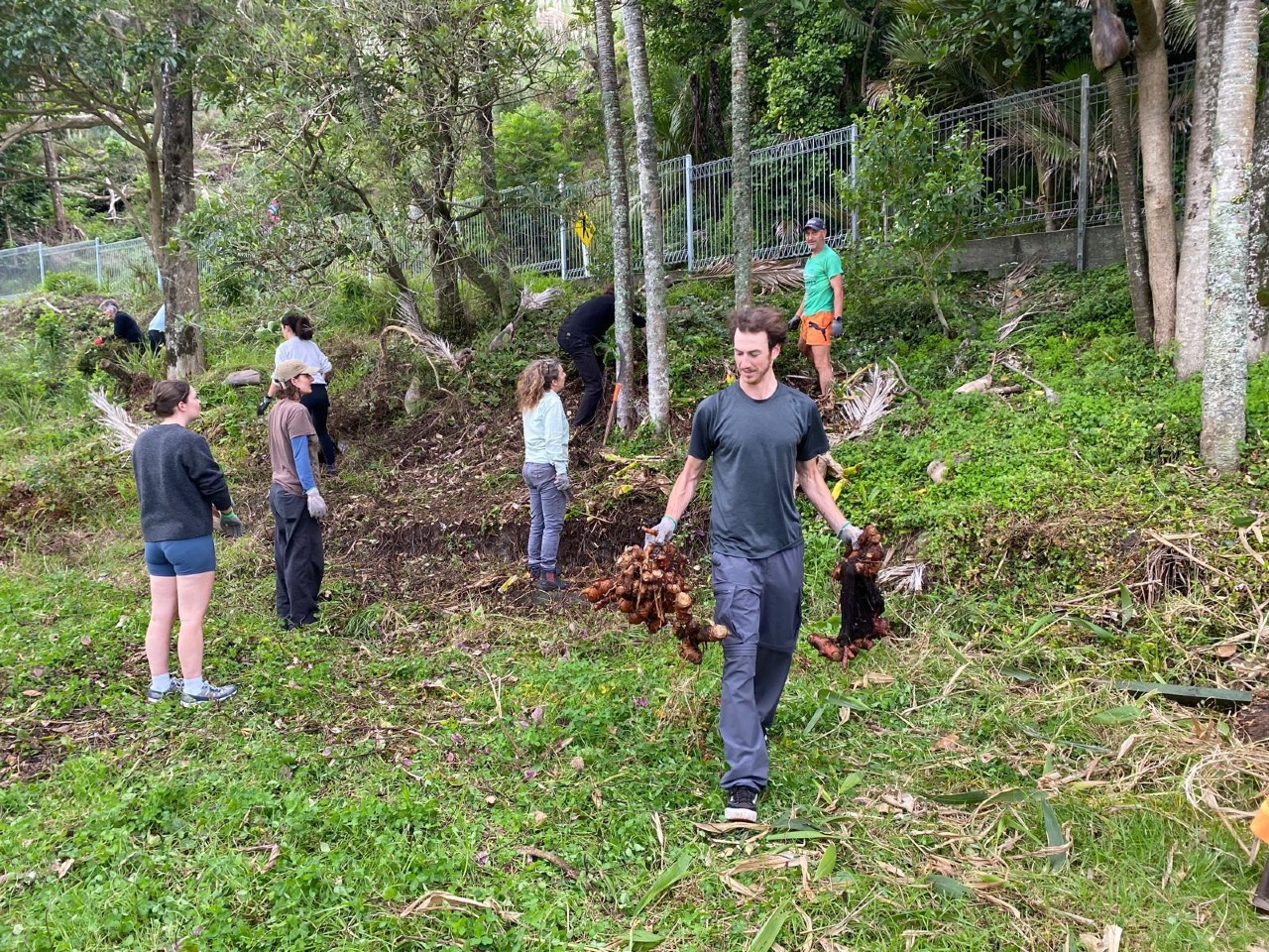 The First Planting at 181 Motutara Road