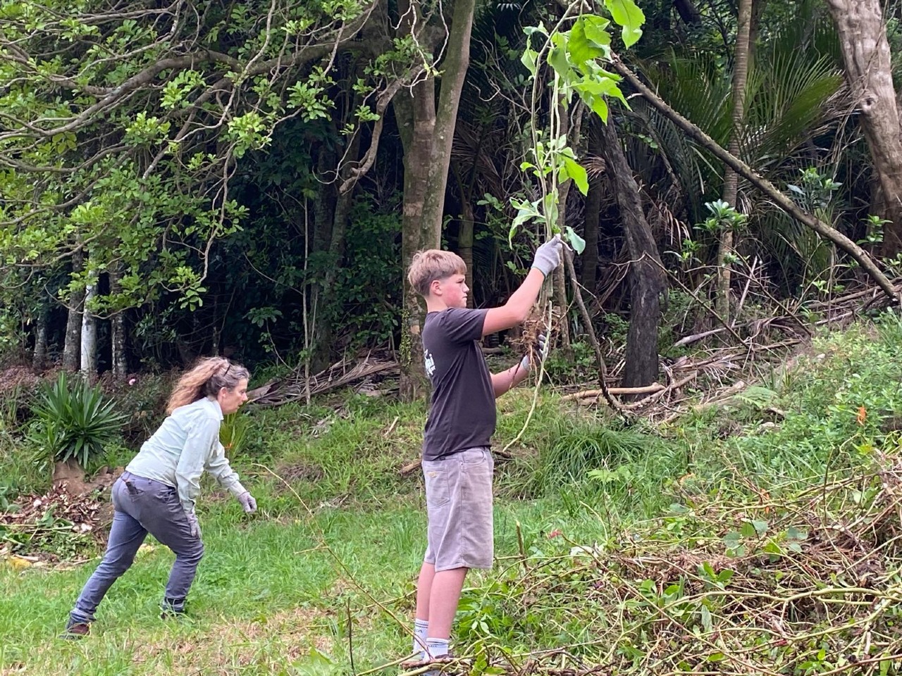 The First Planting at 181 Motutara Road