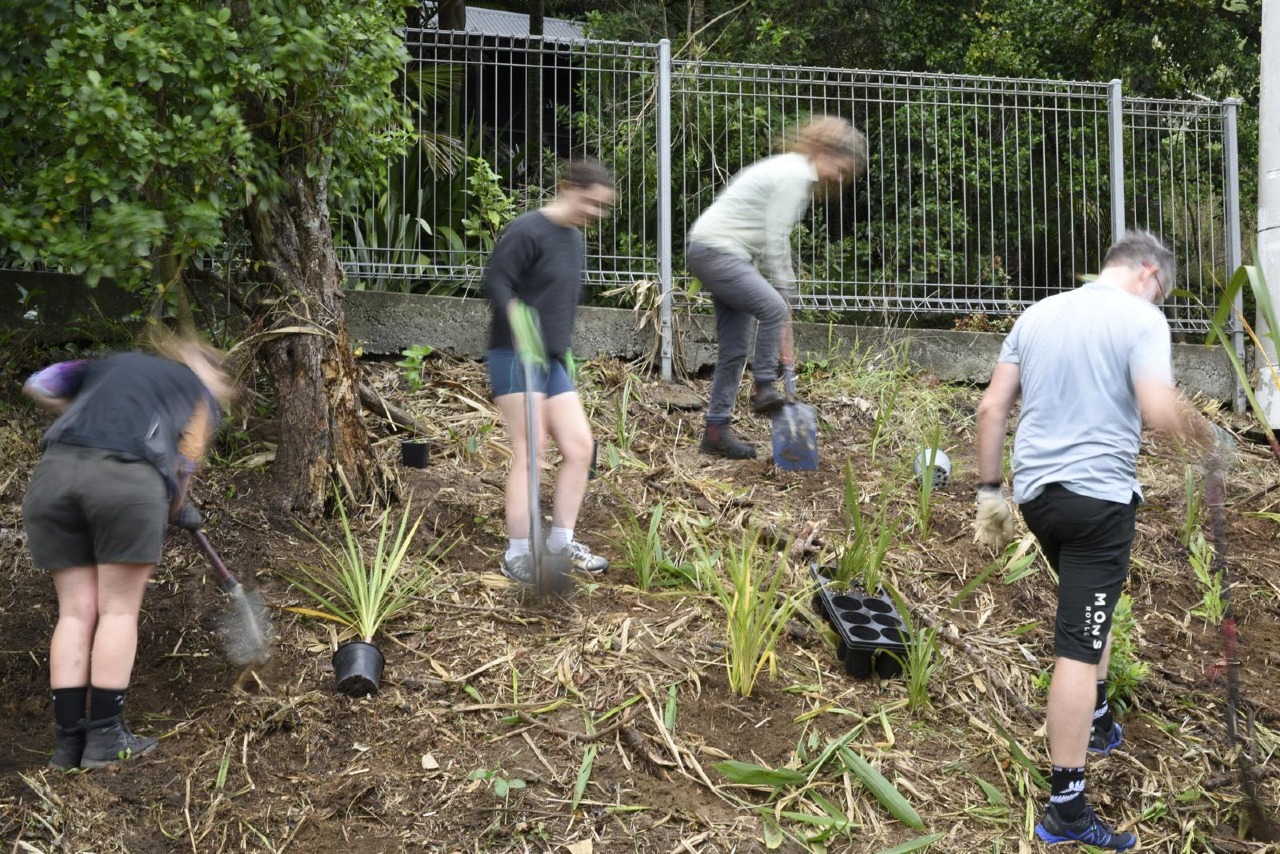 The First Planting at 181 Motutara Road
