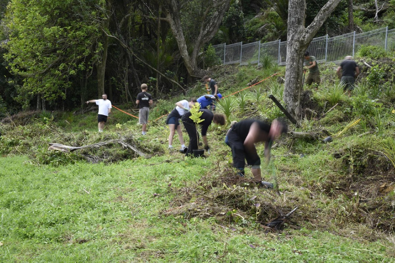 The First Planting at 181 Motutara Road