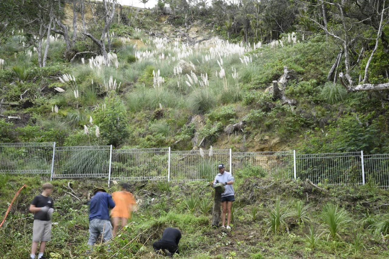 The First Planting at 181 Motutara Road